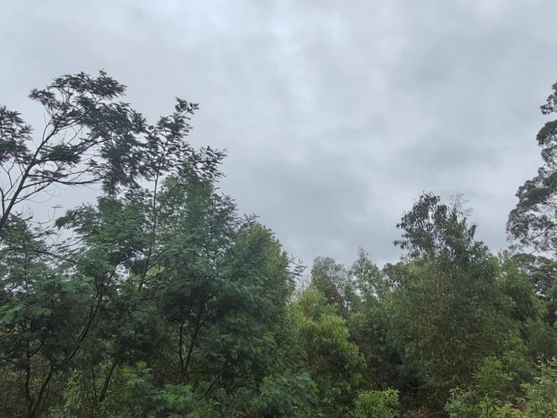 Prime 22000 m2 vacant land for sale in Greenbushes, Port Elizabeth—your canvas for future dreams! - Photo 10