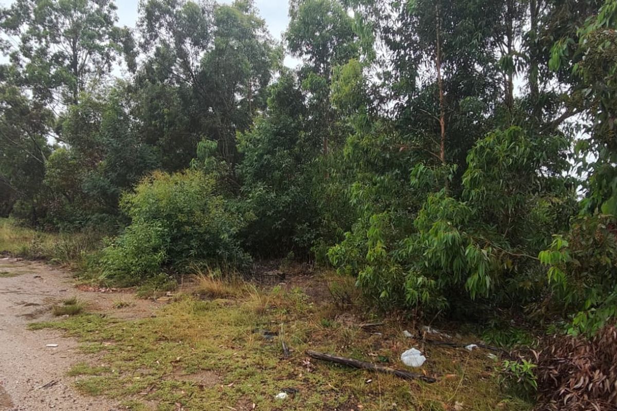 Prime 22000 m2 vacant land for sale in Greenbushes, Port Elizabeth—your canvas for future dreams! - Photo 4