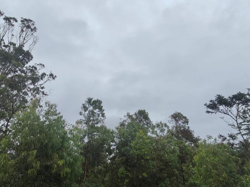 Prime 22000 m2 vacant land for sale in Greenbushes, Port Elizabeth—your canvas for future dreams! - Photo 6