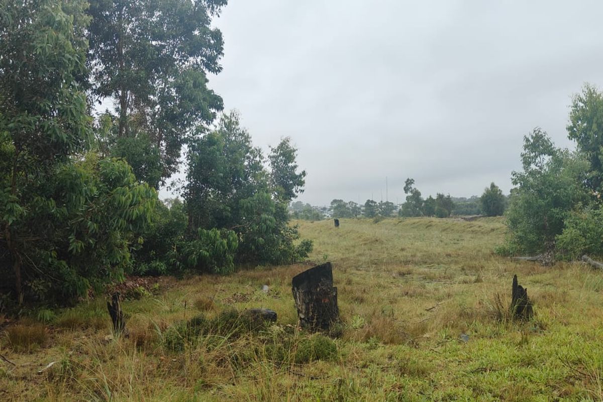 Prime 22000 m2 vacant land for sale in Greenbushes, Port Elizabeth—your canvas for future dreams! - Photo 3