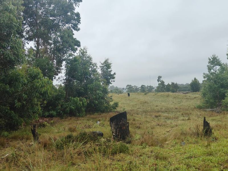 Prime 22000 m2 vacant land for sale in Greenbushes, Port Elizabeth—your canvas for future dreams! - Photo 3