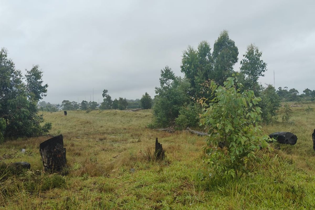 Prime 22000 m2 vacant land for sale in Greenbushes, Port Elizabeth—your canvas for future dreams! - Photo 2