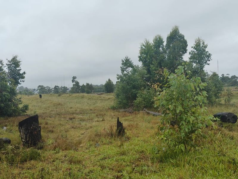 Prime 22000 m2 vacant land for sale in Greenbushes, Port Elizabeth—your canvas for future dreams! - Photo 2