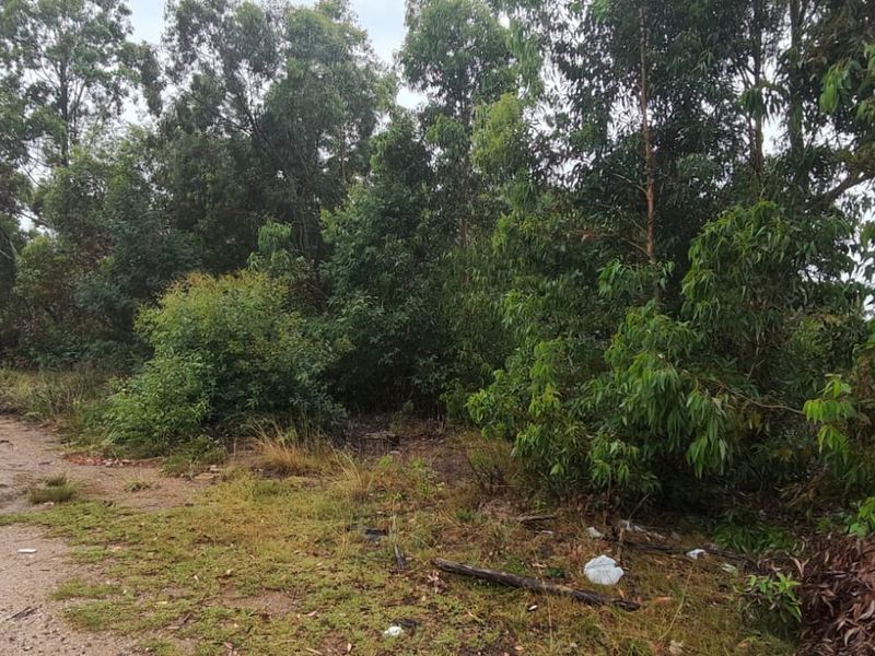 Prime 22000 m2 vacant land for sale in Greenbushes, Port Elizabeth—your canvas for future dreams! - Photo 4