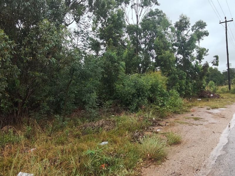 Prime 22000 m2 vacant land for sale in Greenbushes, Port Elizabeth—your canvas for future dreams! - Photo 5