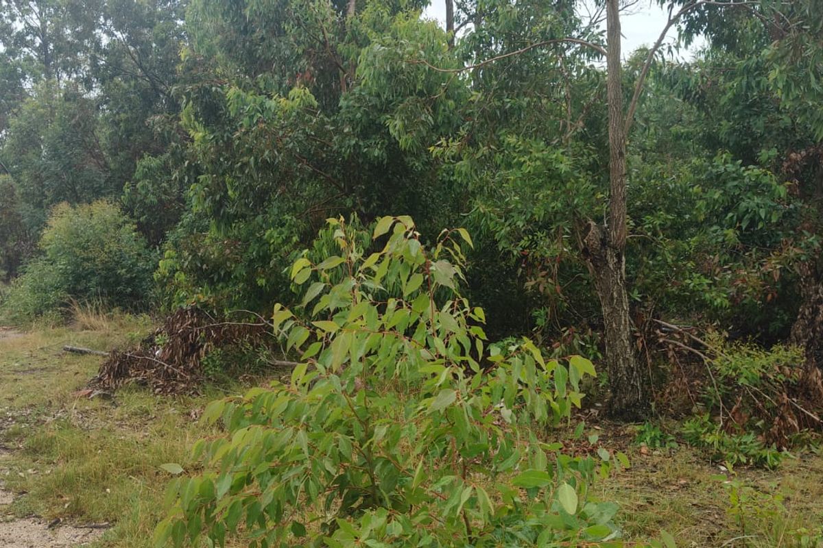 Spacious 24000 m2 vacant land for sale – perfect for your dream project or investment opportunity! - Photo 2
