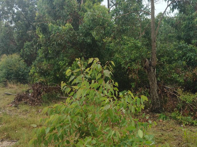 Spacious 24000 m2 vacant land for sale – perfect for your dream project or investment opportunity! - Photo 2