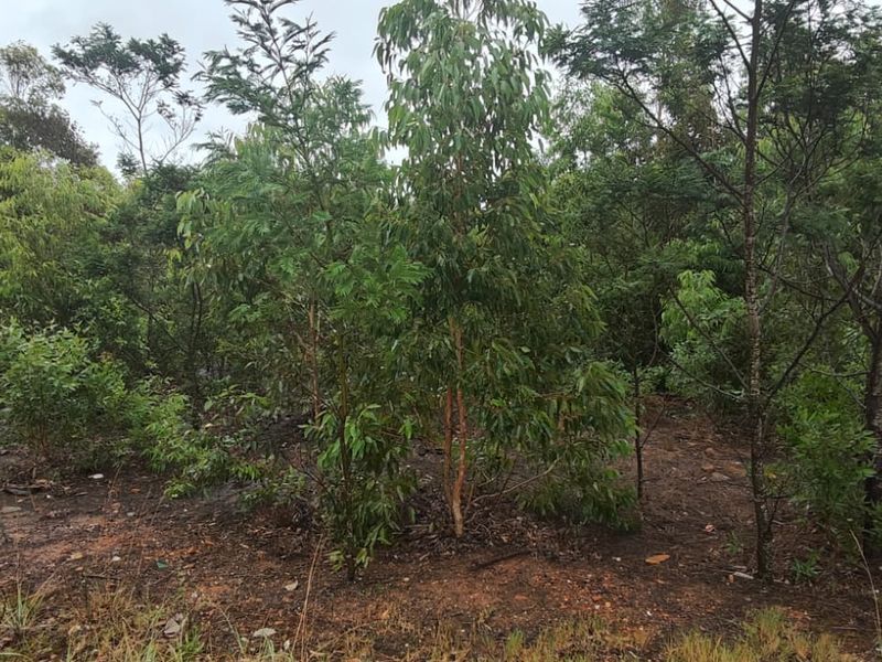 Spacious 24000 m2 vacant land for sale – perfect for your dream project or investment opportunity! - Photo 9