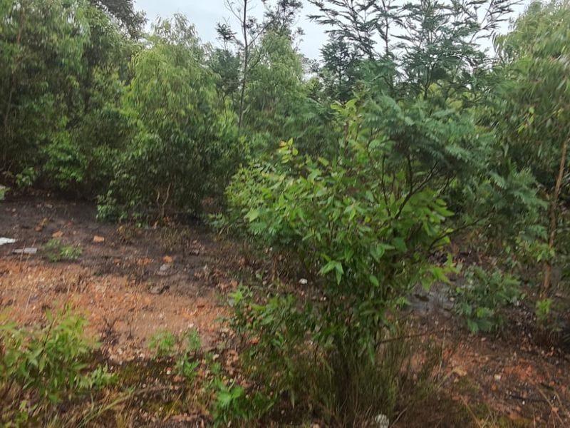 Spacious 24000 m2 vacant land for sale – perfect for your dream project or investment opportunity! - Photo 7