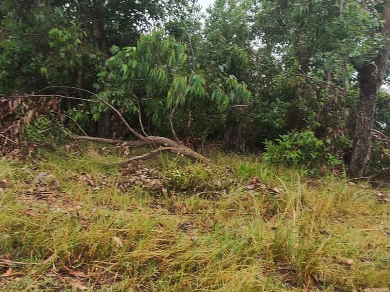 Spacious 24000 m2 vacant land for sale – perfect for your dream project or investment opportunity! - Photo 6