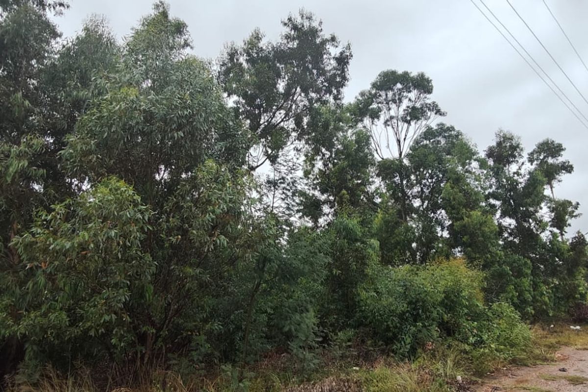 Spacious 24000 m2 vacant land for sale – perfect for your dream project or investment opportunity! - Photo 5