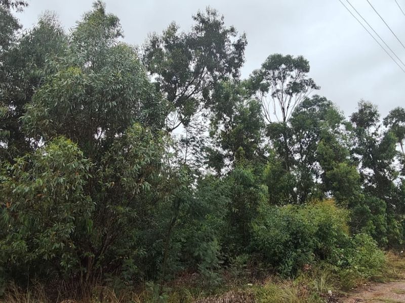 Spacious 24000 m2 vacant land for sale – perfect for your dream project or investment opportunity! - Photo 5