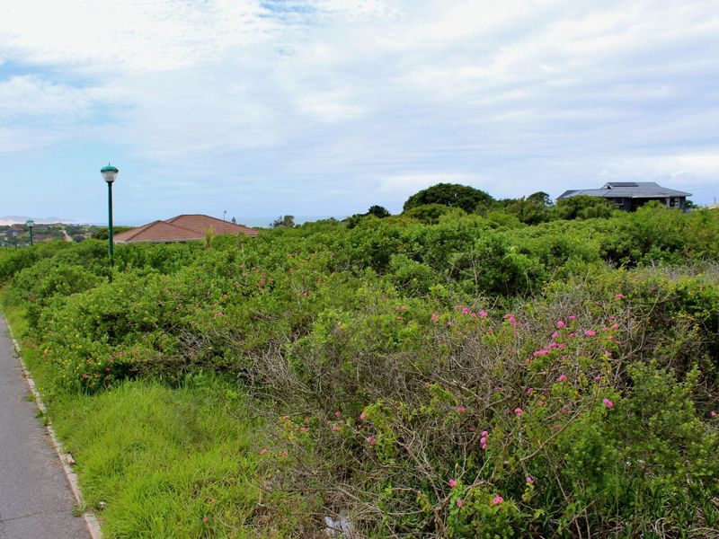 Great Investment Opportunity in a Growing Coastal Community - Photo 3