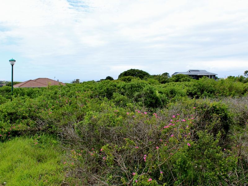 Great Investment Opportunity in a Growing Coastal Community - Photo 8