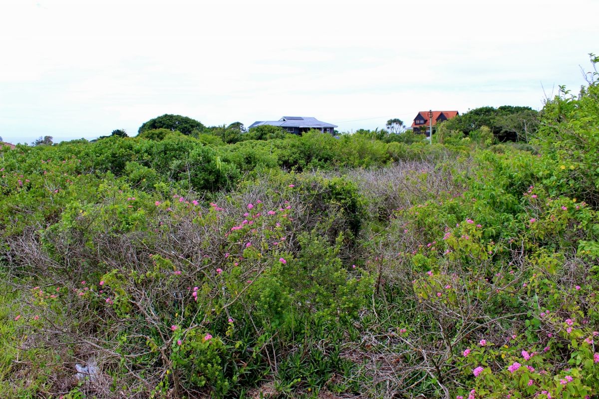 Great Investment Opportunity in a Growing Coastal Community - Photo 5