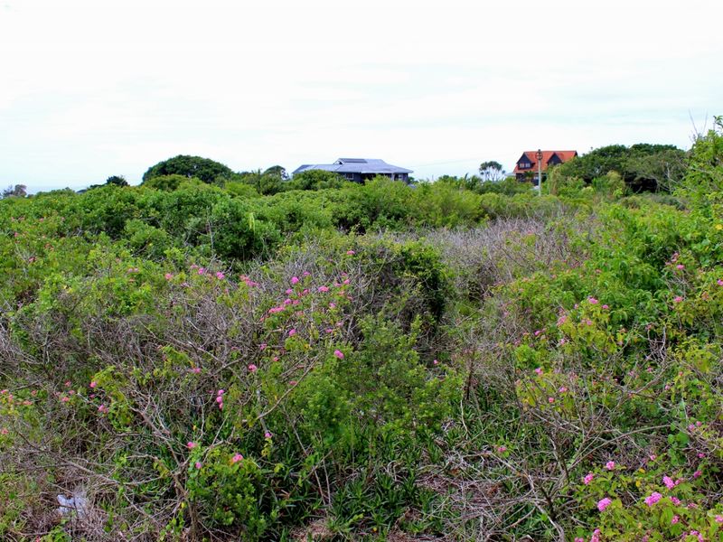 Great Investment Opportunity in a Growing Coastal Community - Photo 5