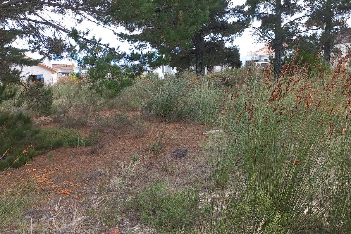 Vacant Stand for Sale in Albertinia! - Photo 5