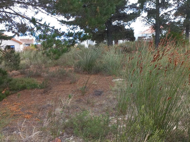 Vacant Stand for Sale in Albertinia! - Photo 5