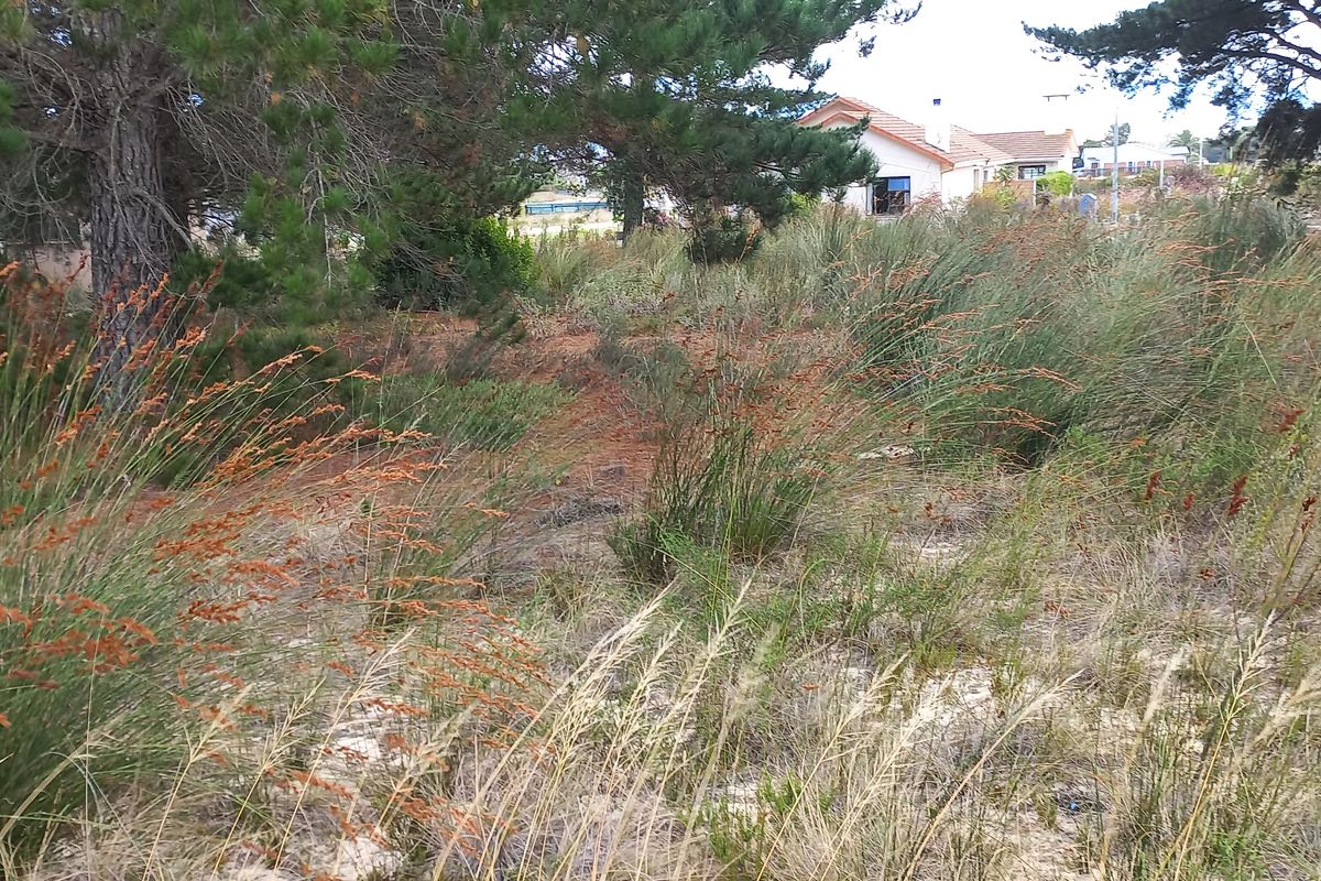 Vacant Stand for Sale in Albertinia! - Photo 4