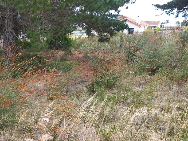 Vacant Stand for Sale in Albertinia! - Photo 4