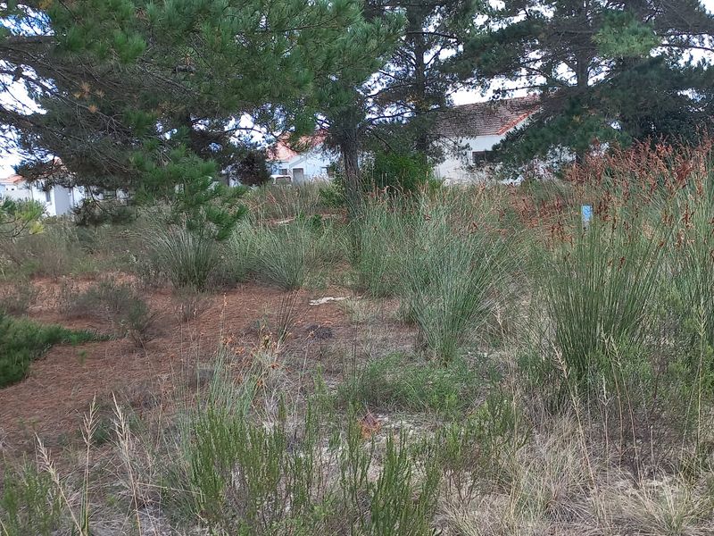 Vacant Stand for Sale in Albertinia! - Photo 9