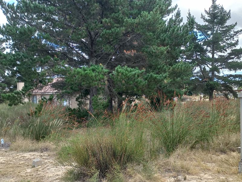 Vacant Stand for Sale in Albertinia! - Photo 8