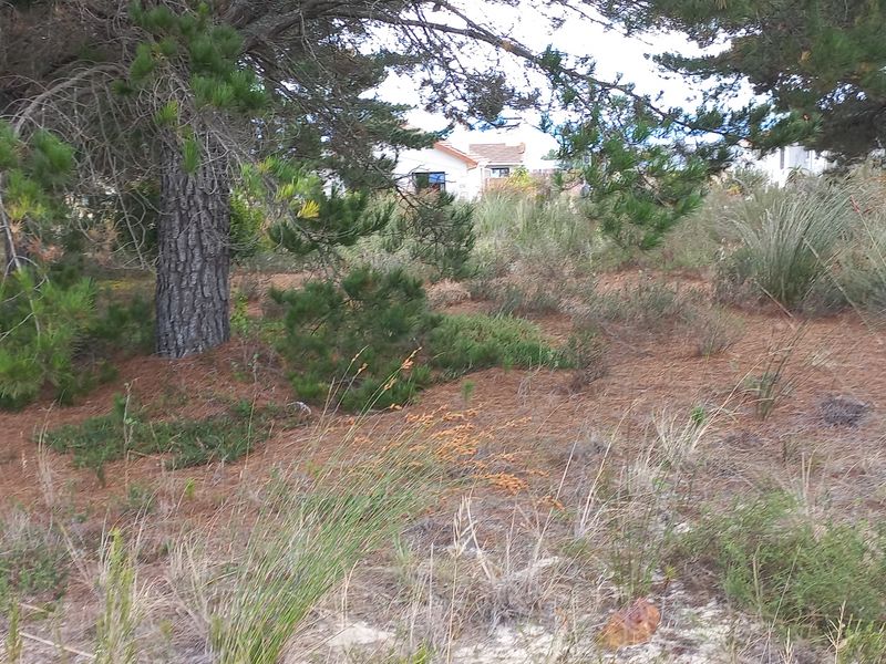 Vacant Stand for Sale in Albertinia! - Photo 6