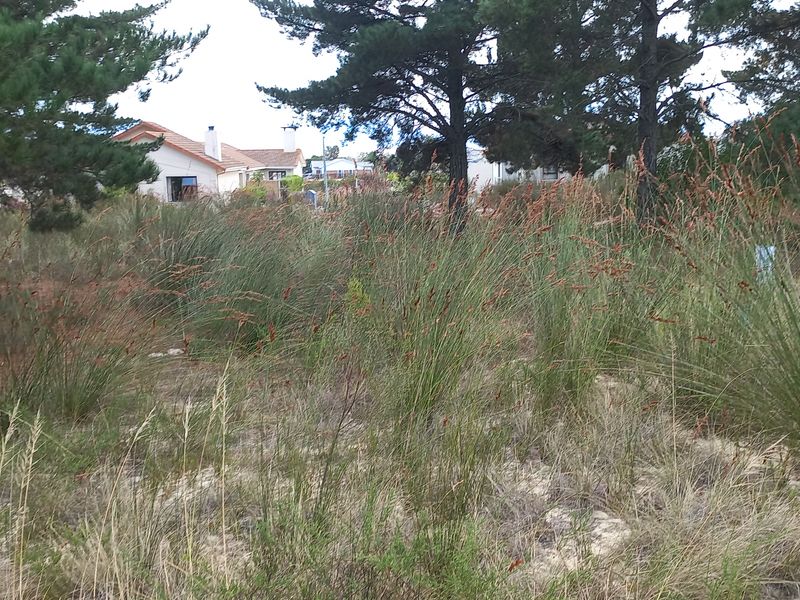 Vacant Stand for Sale in Albertinia! - Photo 7