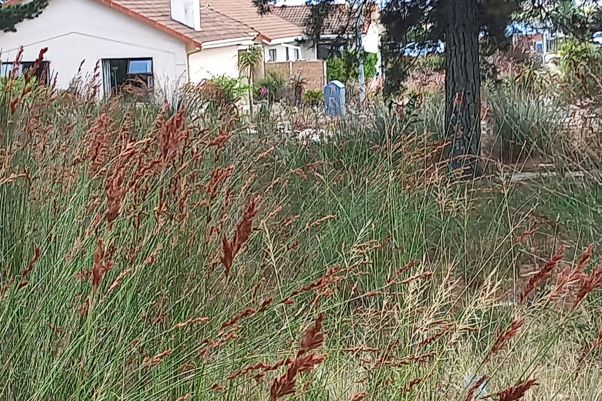 Vacant Stand for Sale in Albertinia! - Photo 2