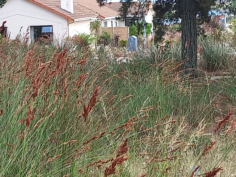 Vacant Stand for Sale in Albertinia! - Photo 2