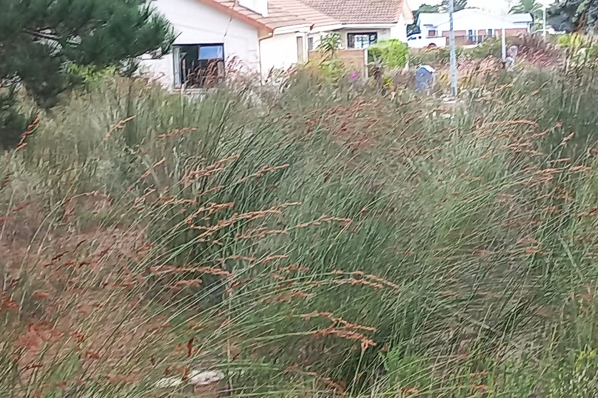 Vacant Stand for Sale in Albertinia! - Photo 3