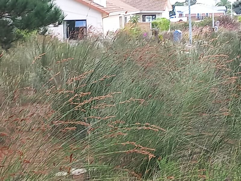 Vacant Stand for Sale in Albertinia! - Photo 3