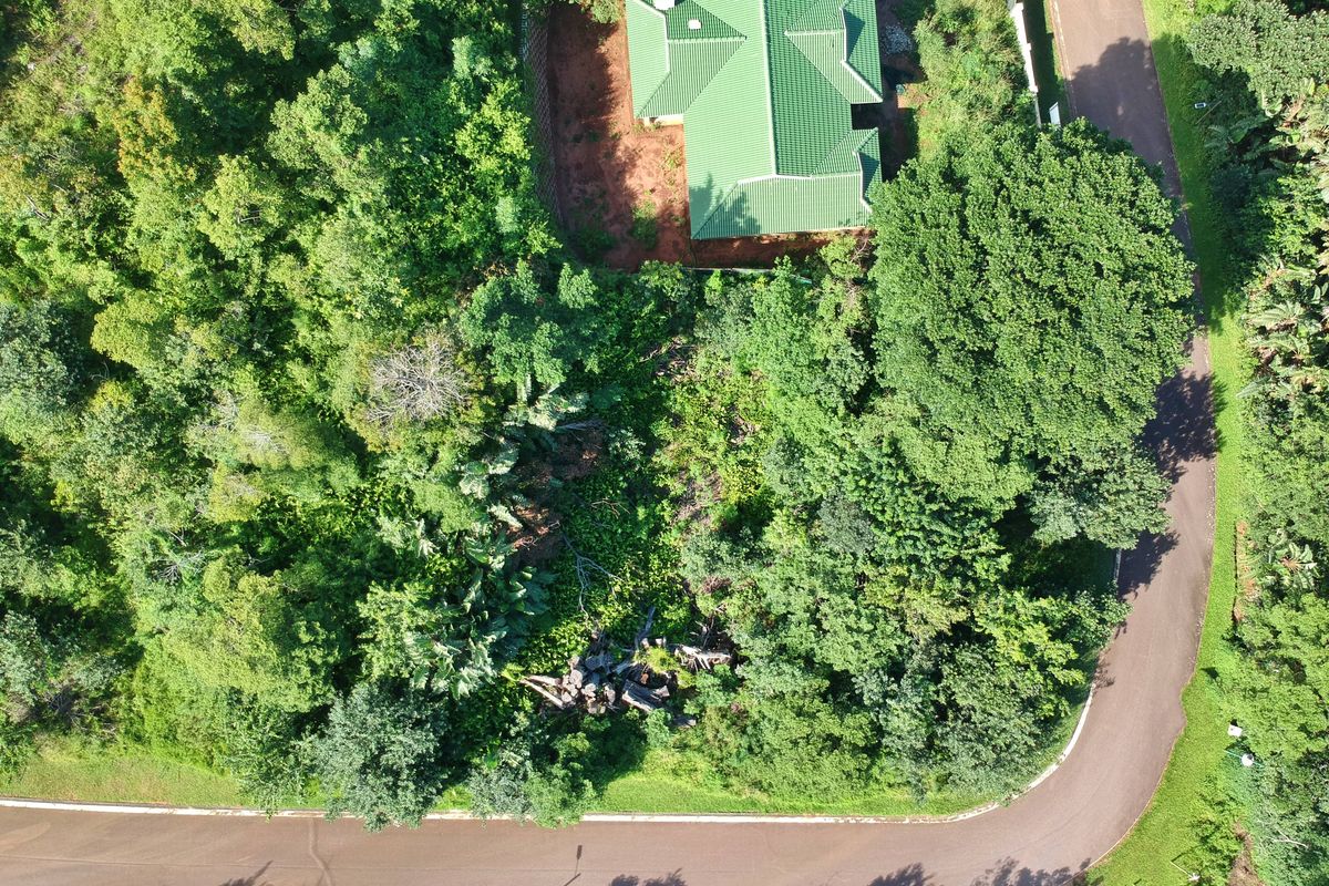 Build Your Dream Home in Abrams Crest, Pennington! - Photo 4