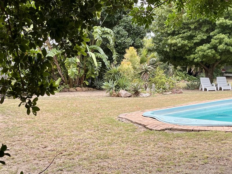 Vacant land in prime position in old Summerstrand! - R850 000 - Photo 4