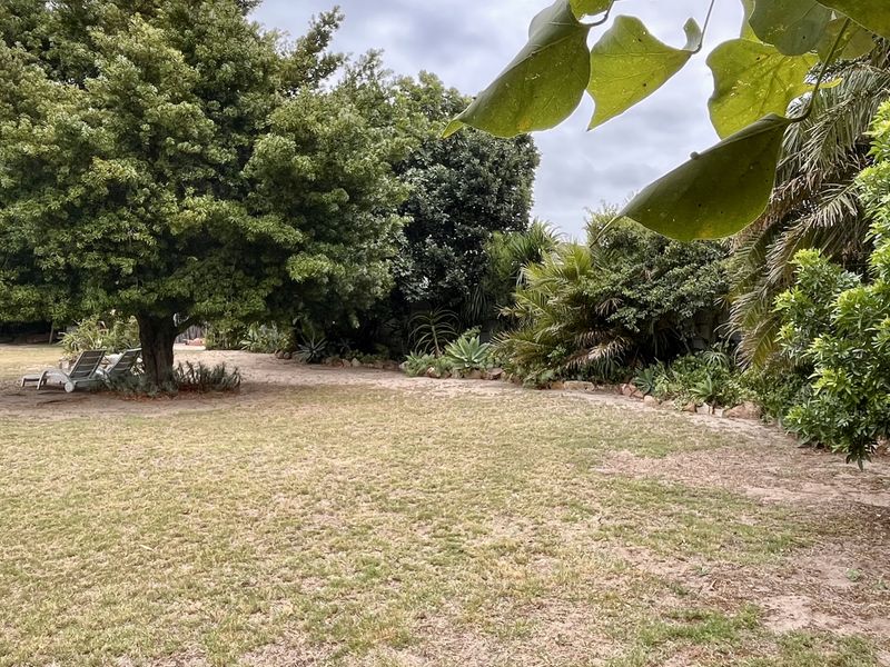 Vacant land in prime position in old Summerstrand! - R850 000 - Photo 3