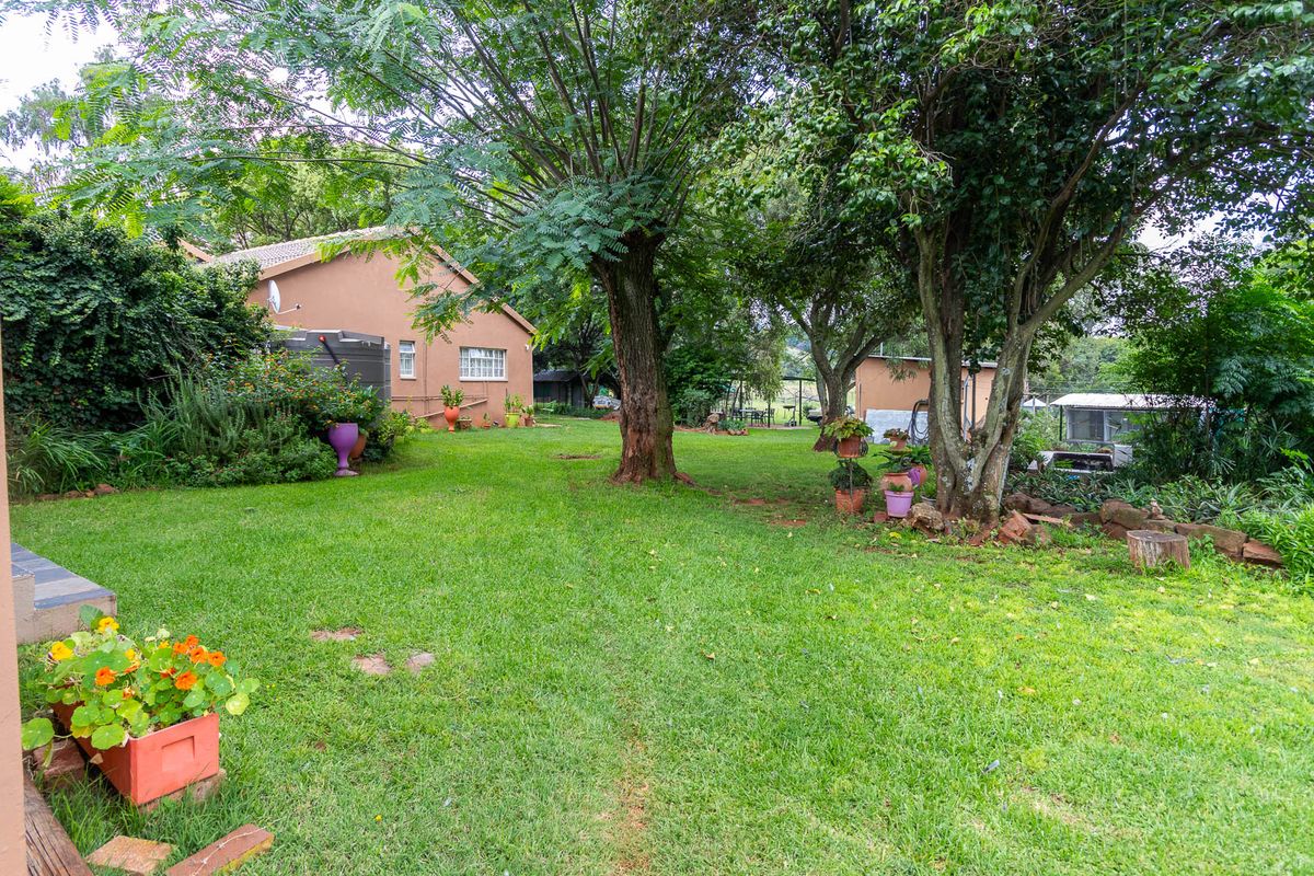 Walkerville Boom : Large Family Home with 3 Flatlets, Livestock Facilities &  Equestrian Potential - Photo 4