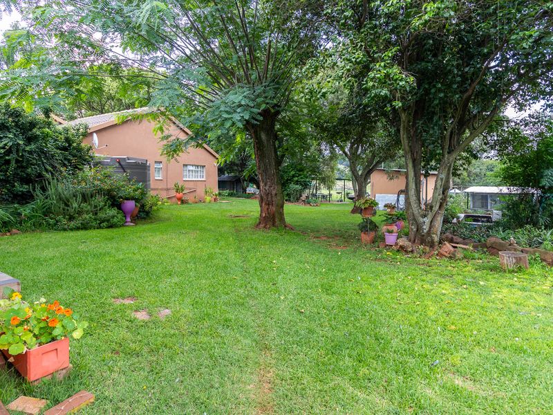 Walkerville Boom : Large Family Home with 3 Flatlets, Livestock Facilities &  Equestrian Potential - Photo 4