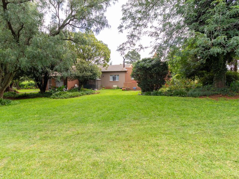 Walkerville Boom : Large Family Home with 3 Flatlets, Livestock Facilities &  Equestrian Potential - Photo 7