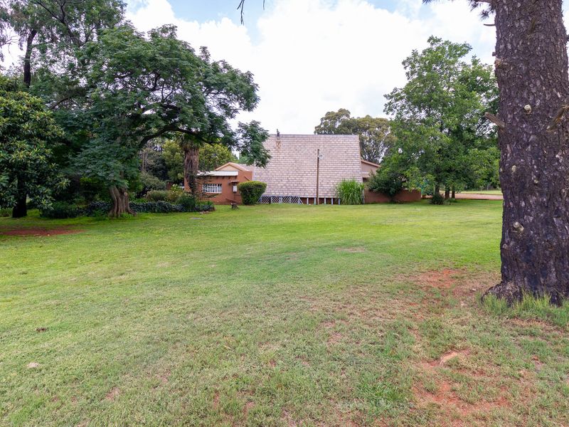 Walkerville Boom : Large Family Home with 3 Flatlets, Livestock Facilities &  Equestrian Potential - Photo 6