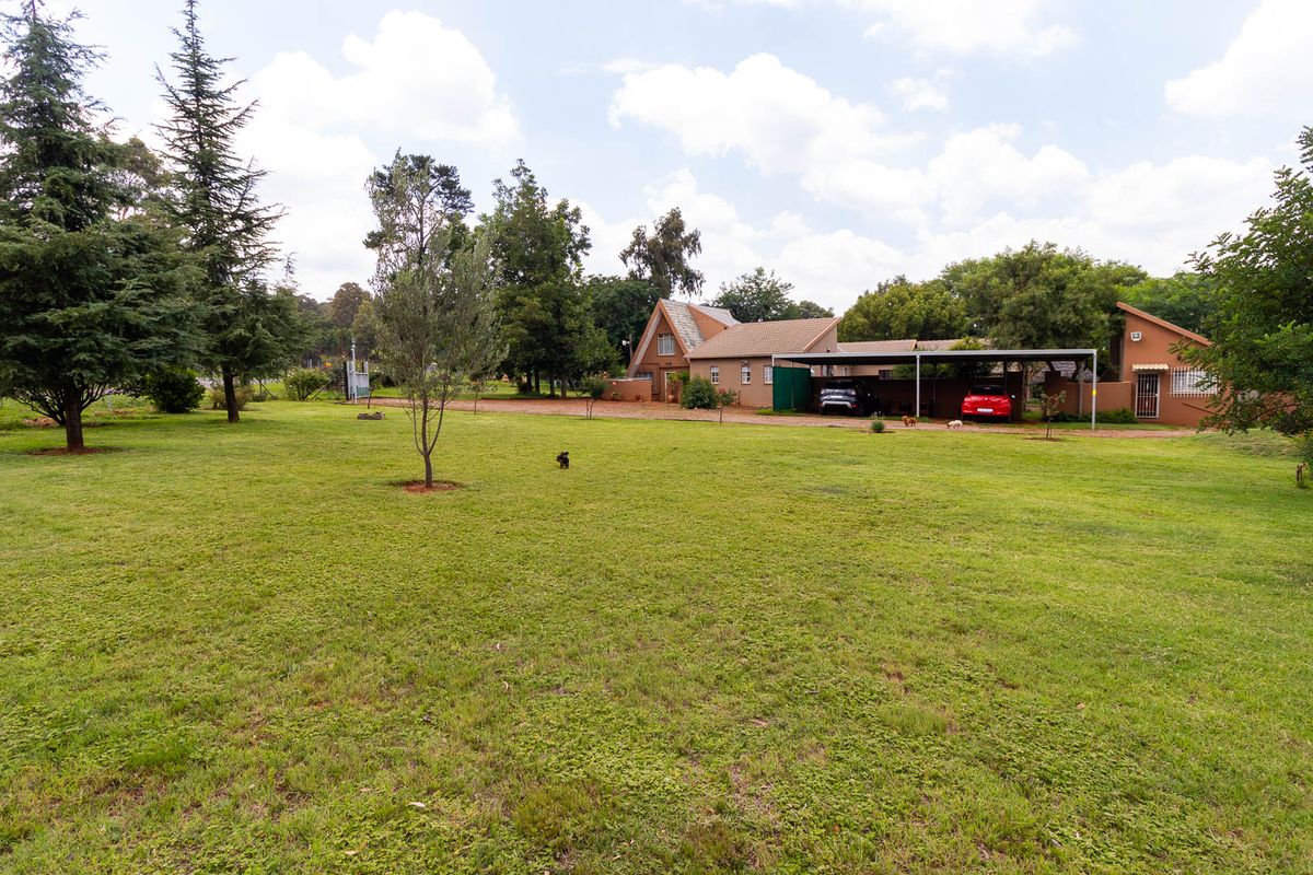 Walkerville Boom : Large Family Home with 3 Flatlets, Livestock Facilities &  Equestrian Potential - Photo 2