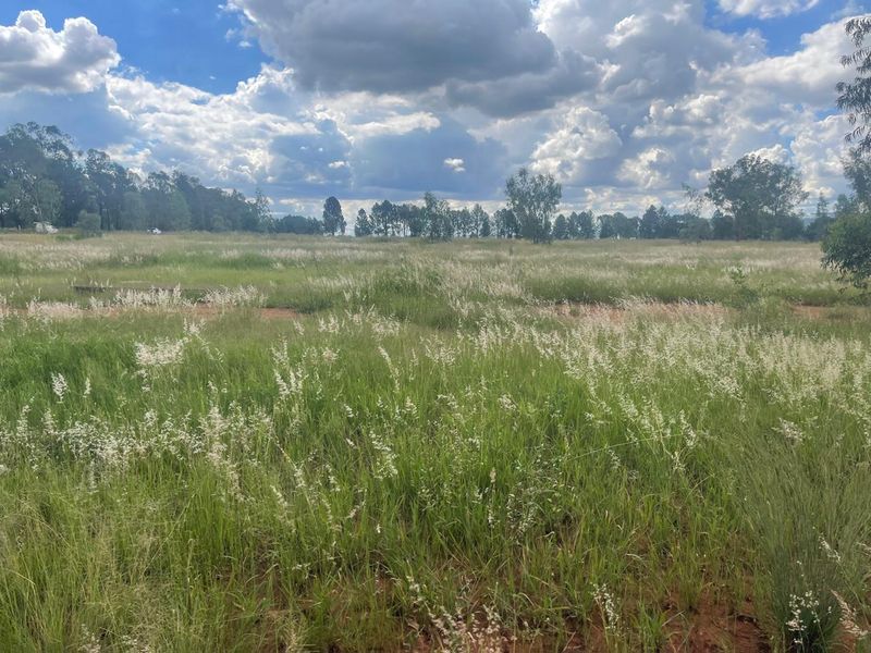 Eye of Africa Vicinity: Expansive Land with Limitless Development & Investment Prospects - Photo 5