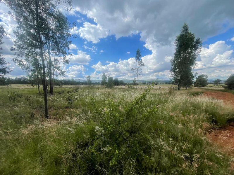 Eye of Africa Vicinity: Expansive Land with Limitless Development & Investment Prospects - Photo 9