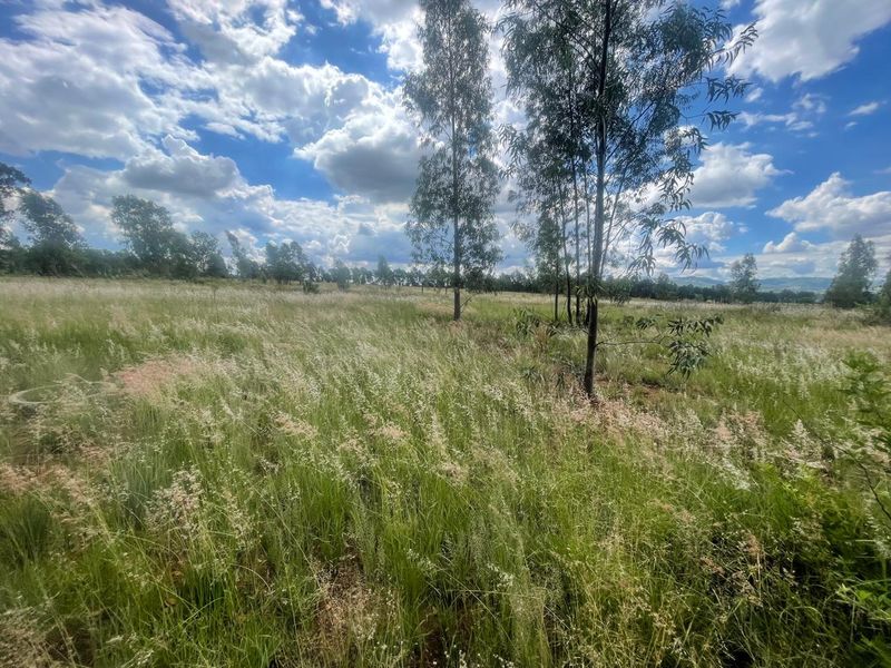 Eye of Africa Vicinity: Expansive Land with Limitless Development & Investment Prospects - Photo 10