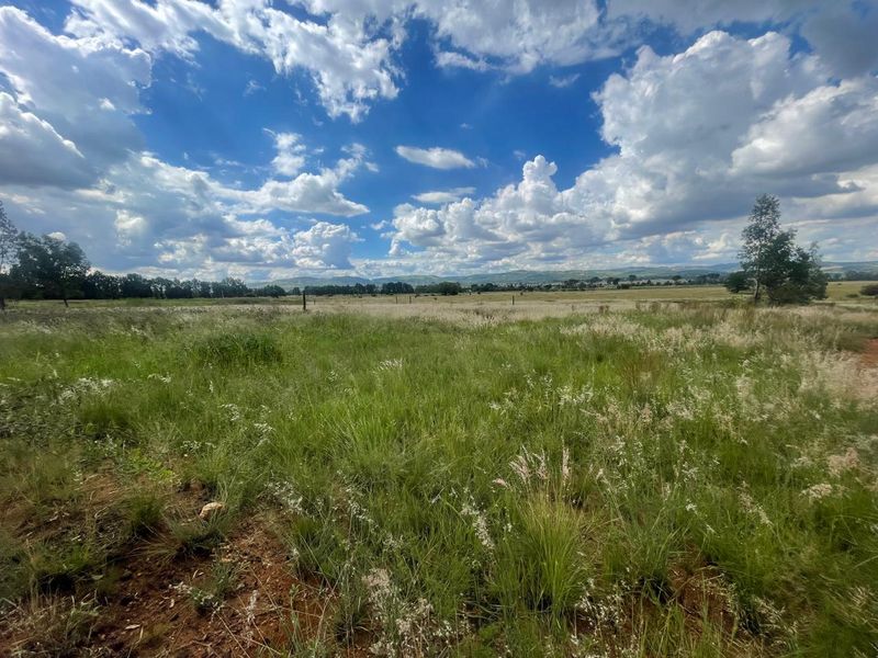 Eye of Africa Vicinity: Expansive Land with Limitless Development & Investment Prospects - Photo 8