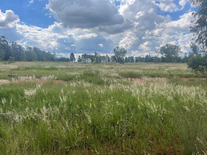 Eye of Africa Vicinity: Expansive Land with Limitless Development & Investment Prospects - Photo 7