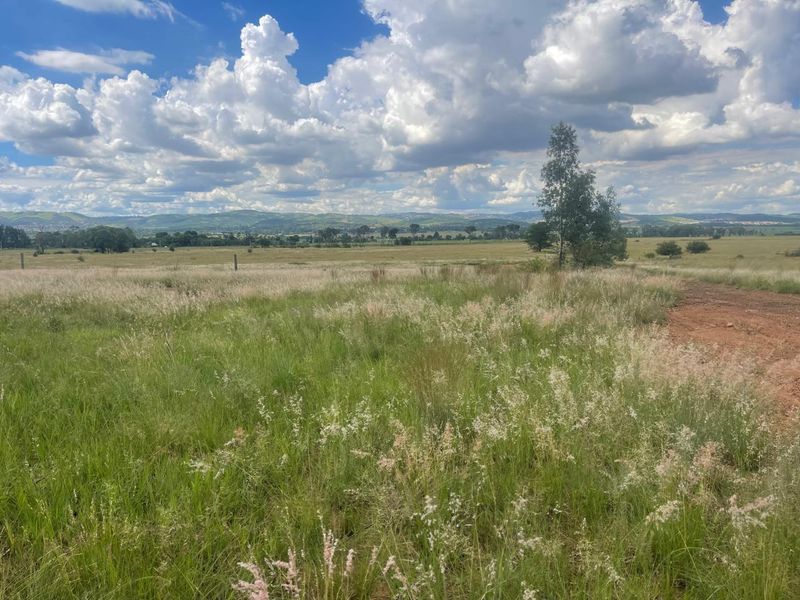 Eye of Africa Vicinity: Expansive Land with Limitless Development & Investment Prospects - Photo 6