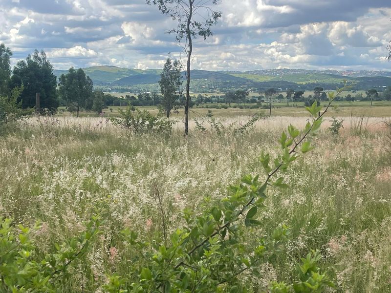 Eye of Africa Vicinity: Expansive Land with Limitless Development & Investment Prospects - Photo 4