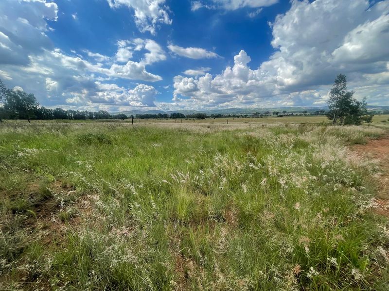 Eye of Africa Vicinity: Expansive Land with Limitless Development & Investment Prospects - Photo 2