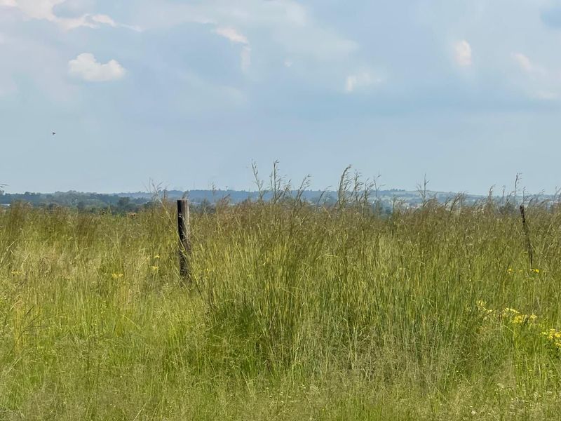 Stands Available! 9066m2 in De Deur, Vereeniging – Secure Your Future Today - Photo 6