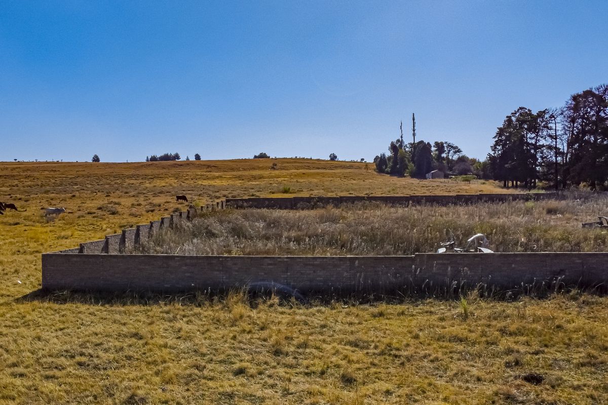 14 Hectares of Affordable Land Near R82 – Discover This Hidden Treasure Today - Photo 4
